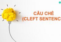cleft sentence là gì