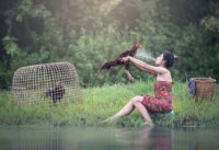 Khi tắm xong cần lau khô tránh để gà bị cảm lạnh