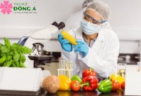 hoc-gi-de-tro-thanh-chuyen-gia-dinh-duong-4