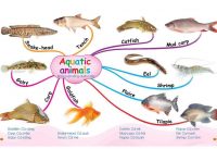 mindmap-hoc-tieng-anh-theo-chu-de-1